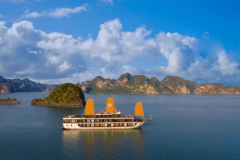 PEONY CRUISE