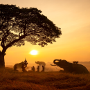 África